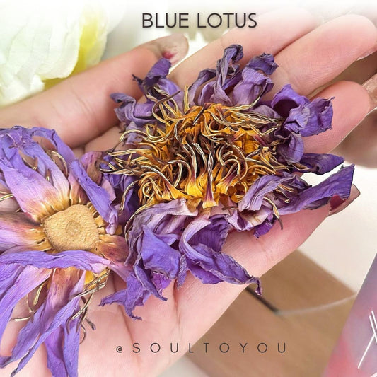 The Blue Lotus Tea